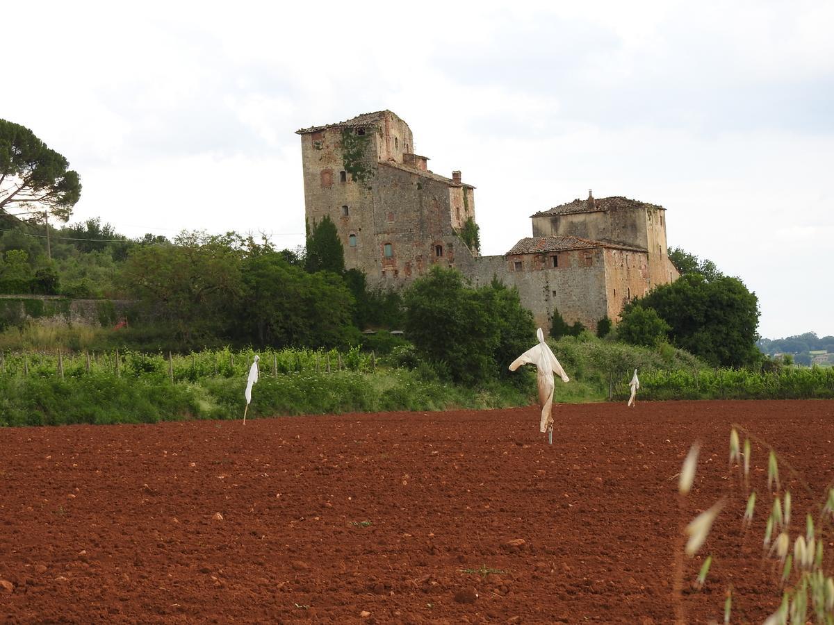 منزل الضيف سوفيتشيلي  في Relais Borgo Di Toiano المظهر الخارجي الصورة
